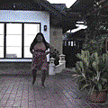 寶拉g (5).gif