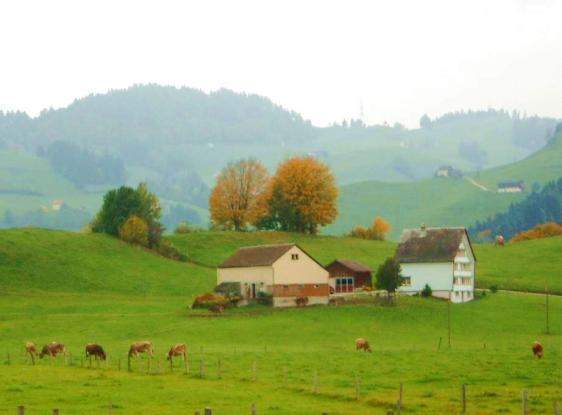 瑞士的秋天.jpg