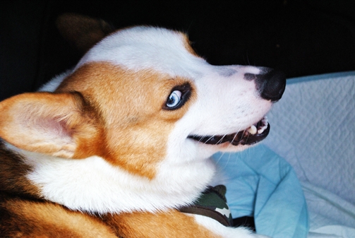 DSC_0002.JPG DSC_0002.JPG