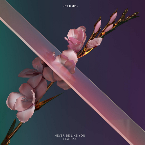 Flume-Never Be Like You.png