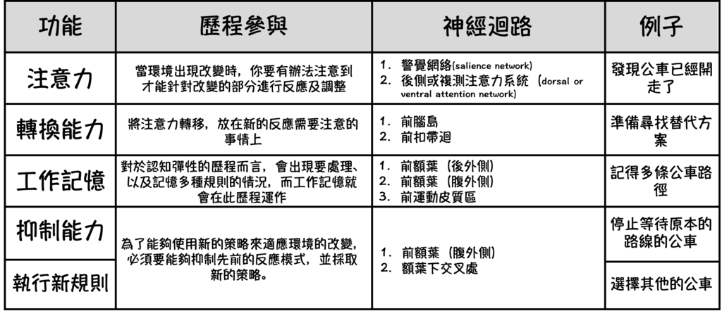 認知彈性迴路.png 認知彈性迴路.png