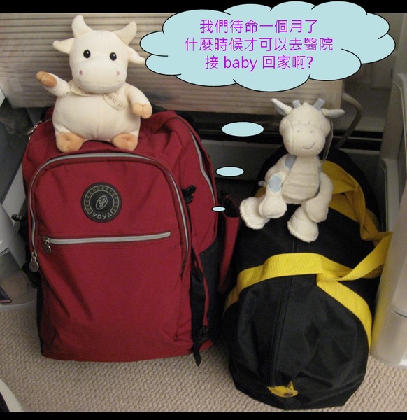 Overnight bag.jpg Overnight bag.jpg