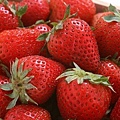 草莓.j