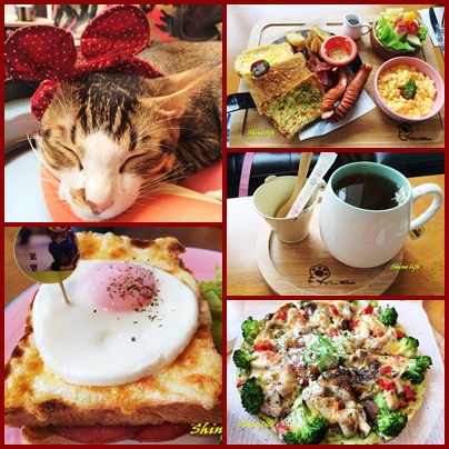 cats cats