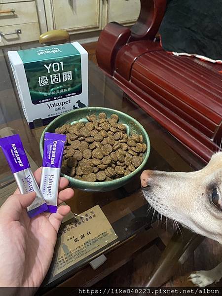 【寵物】狗狗關節保健食品推薦｜Yakupet 優固倍｜從關節