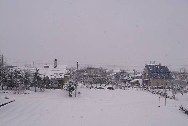 雪景