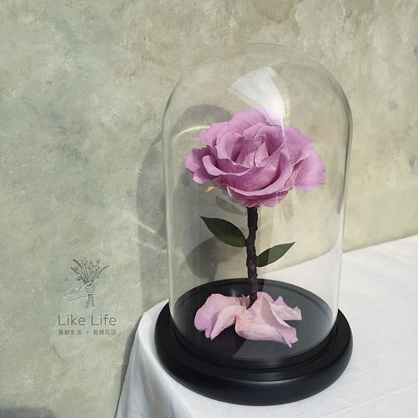 永生玫瑰花玻璃罩,永恆花推薦、恆星花推薦 永生玫瑰花玻璃罩,永恆花推薦、恆星花推薦