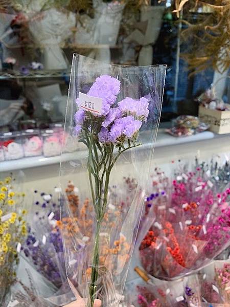 母親節乾燥花束推薦,乾燥花材推薦,乾燥星辰花.JPG 母親節乾燥花束推薦,乾燥花材推薦,乾燥星辰花.JPG