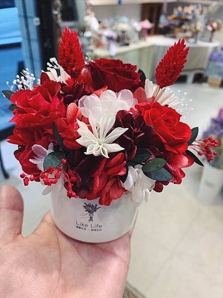 母親節花束推薦,紅色永生花開幕盆栽,永生花開幕盆栽.JPG 母親節花束推薦,紅色永生花開幕盆栽,永生花開幕盆栽.JPG