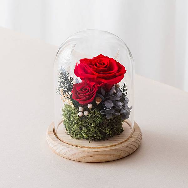 花蓮送永生花玻璃鐘罩-紅色永生花封面.jpg 花蓮送永生花玻璃鐘罩-紅色永生花封面.jpg