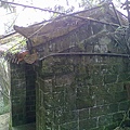 20110301733.jpg