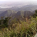 20110117486.jpg