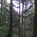 201103211131.jpg