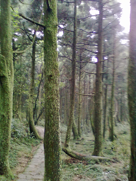 201103211136.jpg