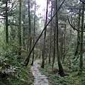 201103211135.jpg