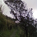 201103211070.jpg