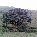 201103211145.jpg