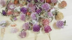 images (1) images (1)