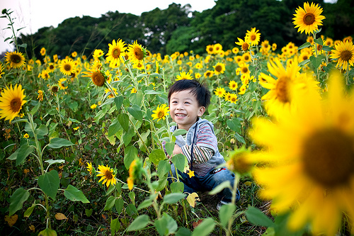 花田喜事