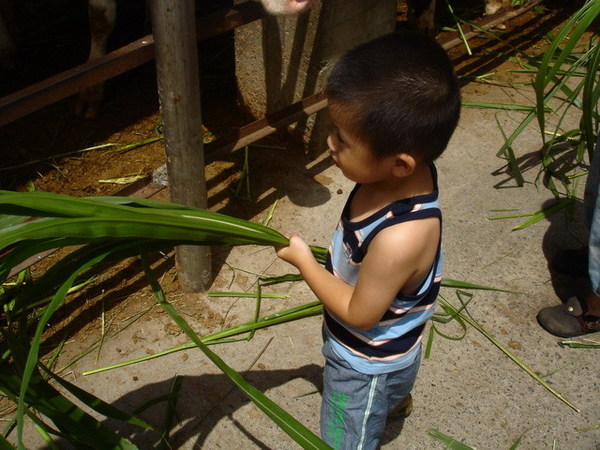 DSC09710.JPG
