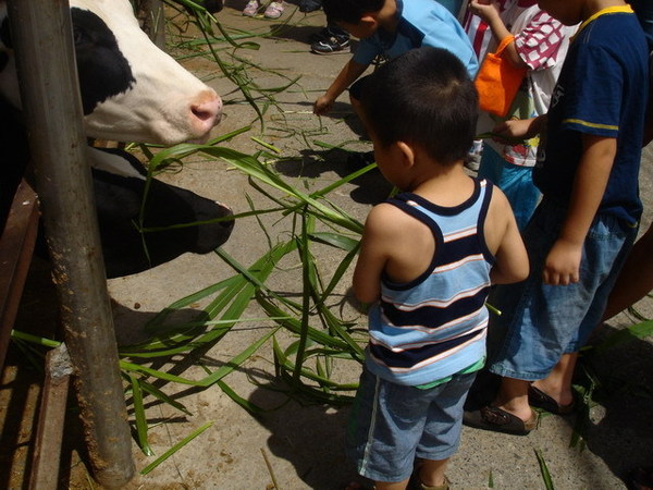DSC09711.JPG