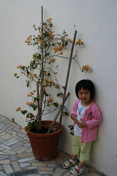 Irini 在 Rodos 的旅館庭院