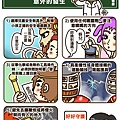 預防眼睛意外的發生.jpg