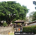 990403DSCI0781.JPG