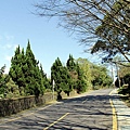 沿路都是好風光