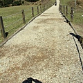 IMG_7225_副本.jpg