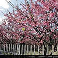 IMG_7268_副本.jpg