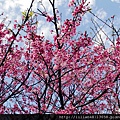 IMG_7269_副本.jpg