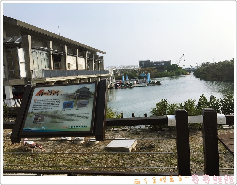 照片 733.JPG