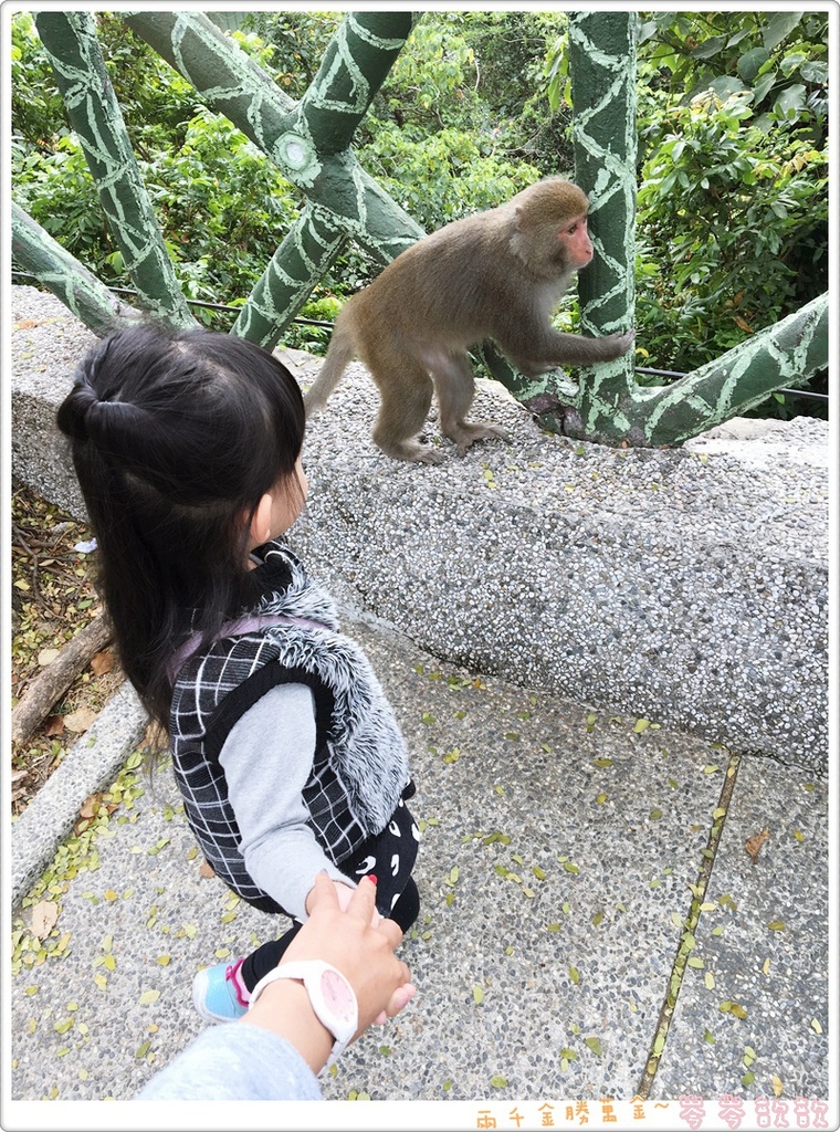 照片 845.JPG 照片 845.JPG