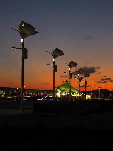 飛翔太陽能燈 花博大佳河濱公園-1.JPG