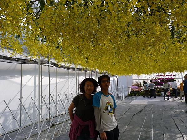 P1500757.JPG P1500757.JPG