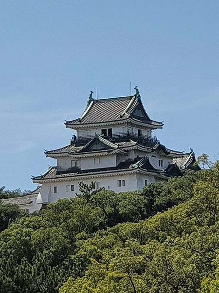 2023. 7.28-29 和歌山城堡wakayama ca