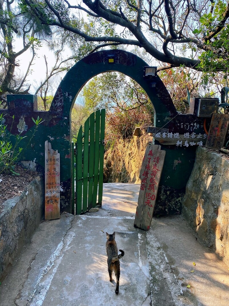 馬祖 刺鳥咖啡 南竿 馬悠驛館 南竿星巴克