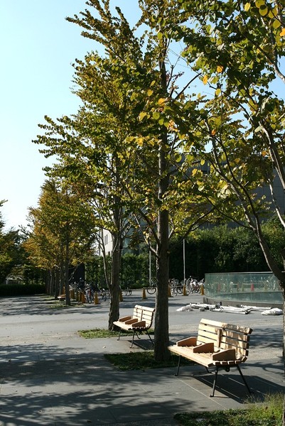 20071006「京都會館．美術館前」巴士站前秋意座椅.jpg