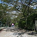 20071006哲學之道6.jpg