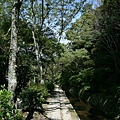 20071006哲學之道7.jpg