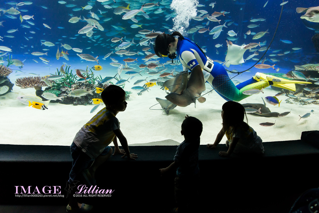 Aquarium-80.jpg