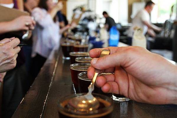 coffee cupping