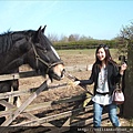 Cherry feeds the horse