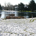 學校雪景