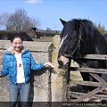 Annie feeds the horse