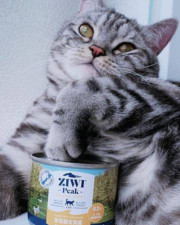 貓咪主食罐\餐包試吃專欄Ep.1：ZiwiPeak 巔峰 -