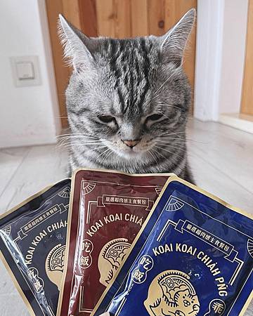 貓咪主食罐\餐包試吃專欄Ep.2：乖乖吃飯獨享餐100g 極