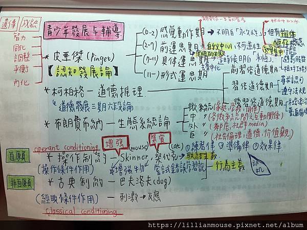 【109教檢通過】教師檢定一次過｜心得分享｜準備方法｜使用書