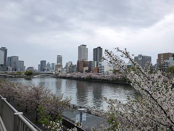 日本大阪賞櫻景點 大阪造幣局 19年4月 莉蘿莉蘿轉身看 痞客邦